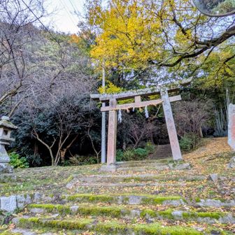 ちょっと遠回りしたけど、やっと登山口に来れました😅
