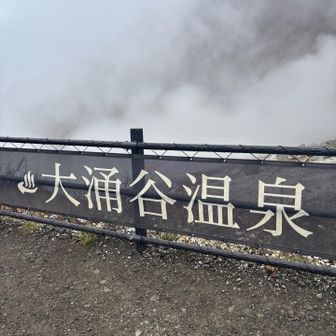 温泉♨️入れるのなら、入りたかった！