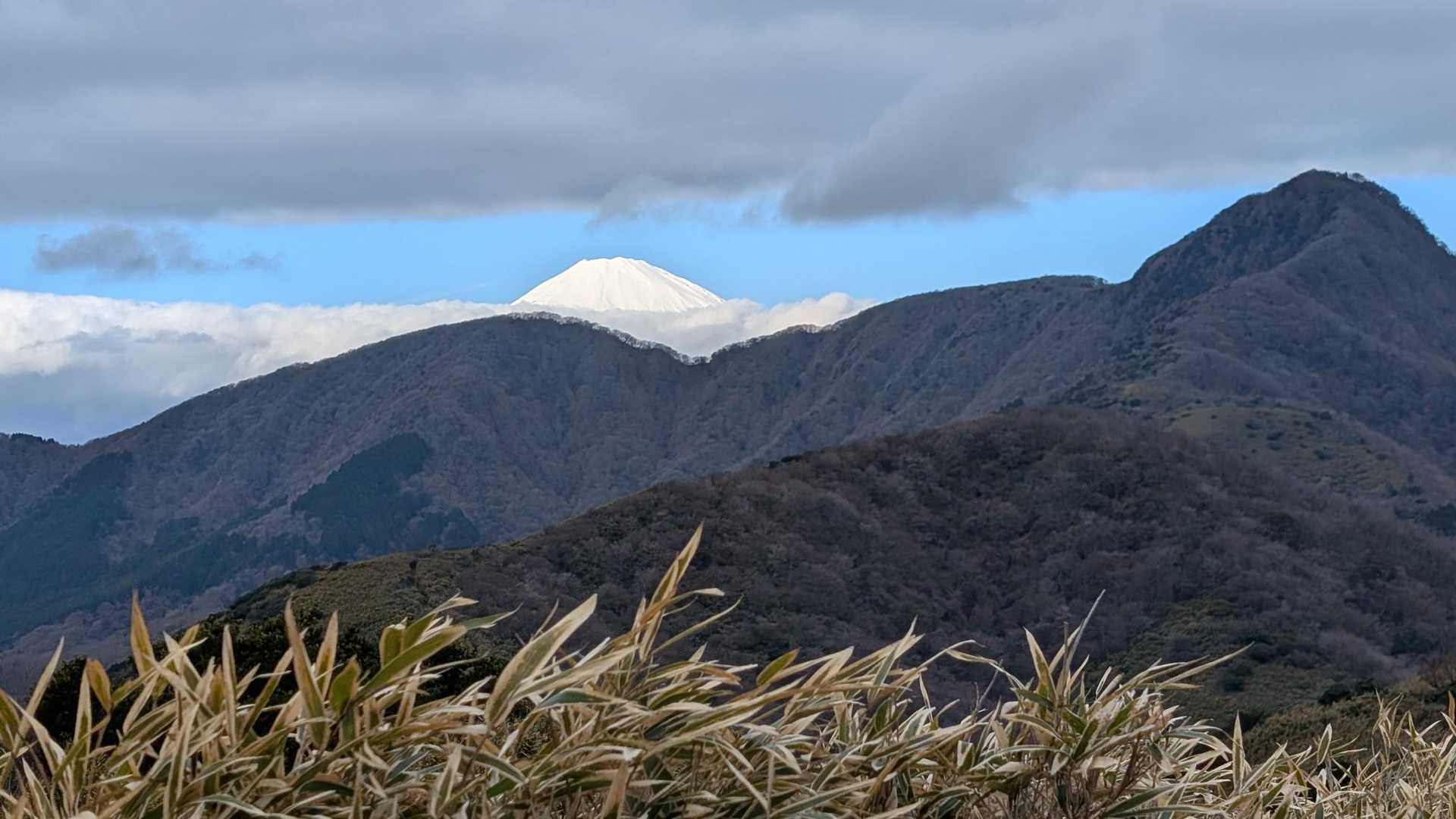 矢倉沢峠-明神ヶ岳 往復コースの写真