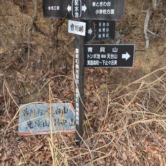 下りてきました。