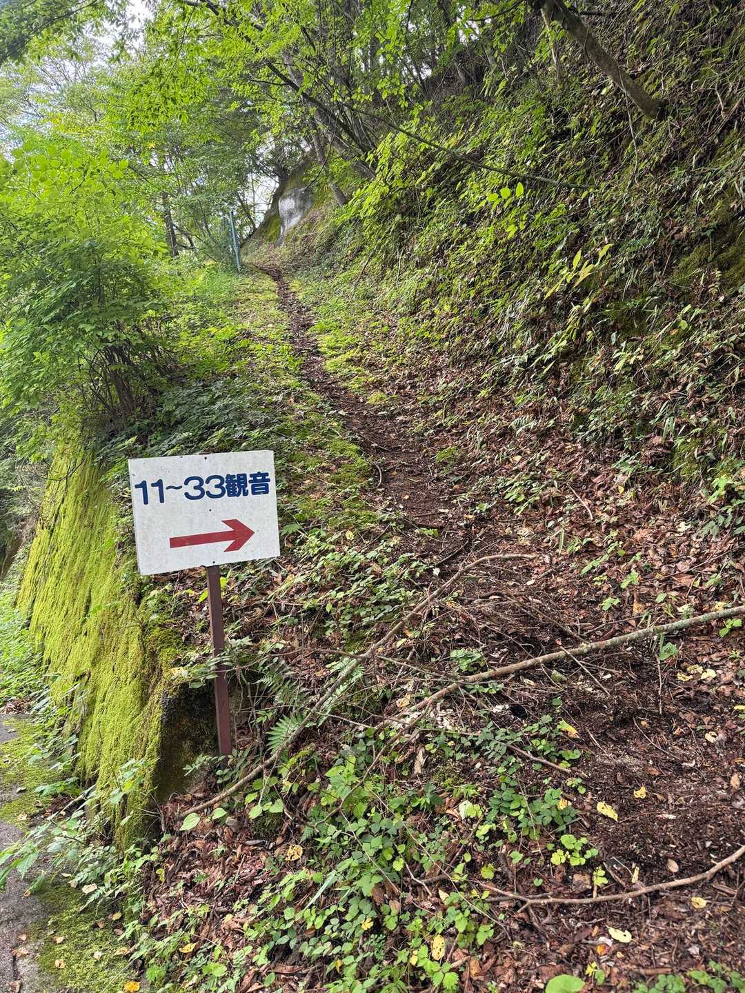 極楽峠-見晴山 往復コースの写真