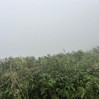 視界30m