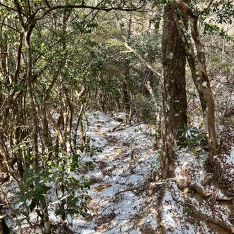 雪が降ったりやんだり