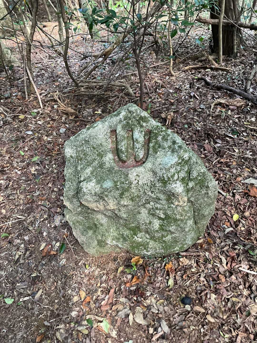 また、山❓