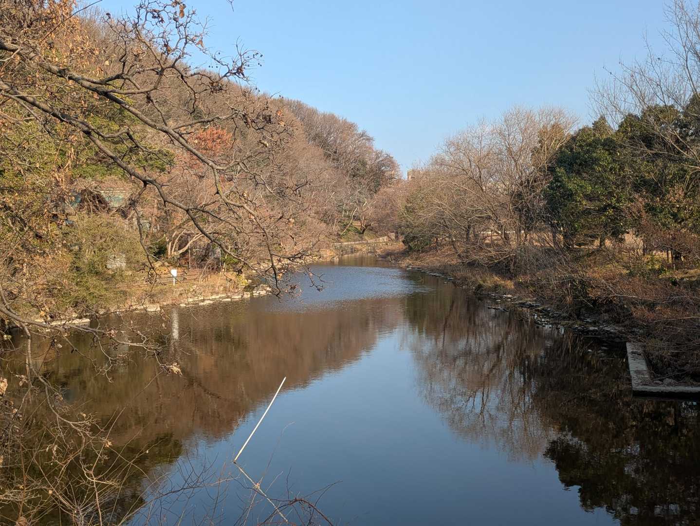 三井池
今日も静かです😊