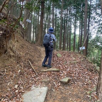 晴れてきたので、一人で可部冠山へ行ってみることに🎵