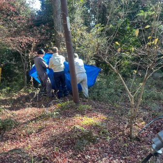 ご苦労様です。
そしてありがとうございます🙇‍♂️