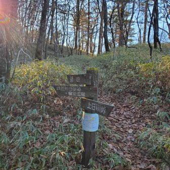 上日川峠第三駐車場の手前脇より砥山登頂できます
正面にうっすらと登山道あります