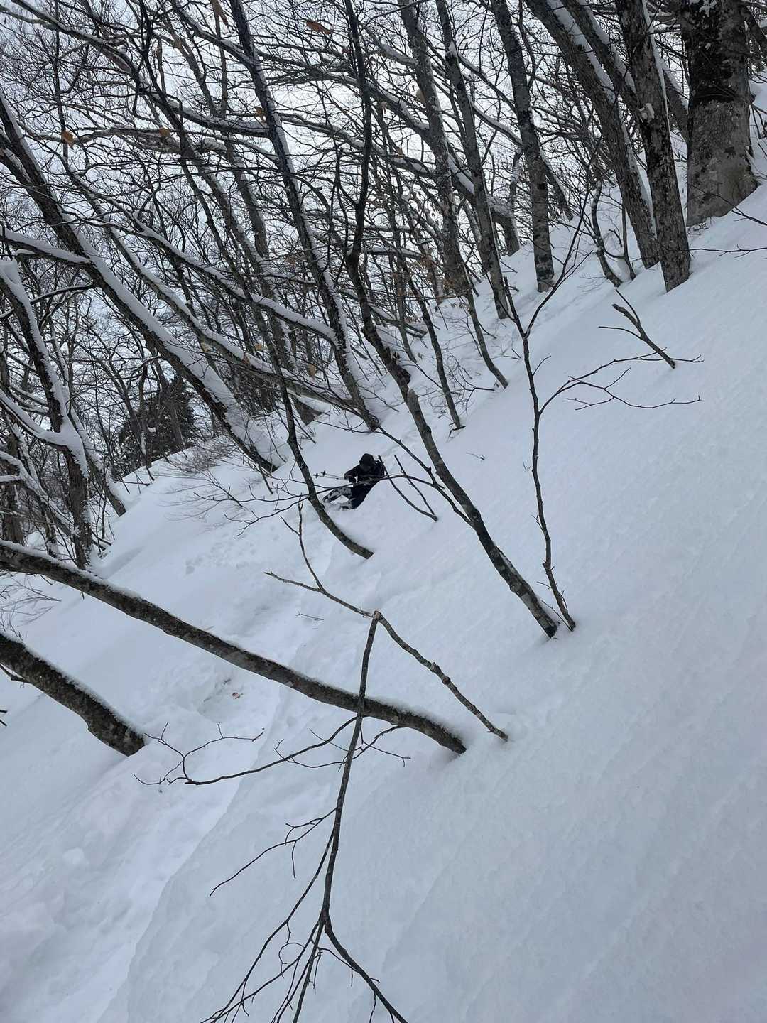 転がるw