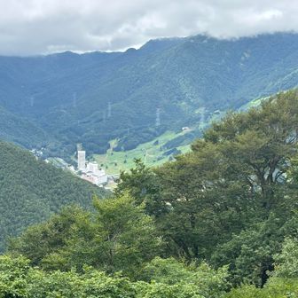 苗場山は雲の中だけどプリンスとスキー場は👀