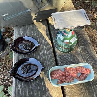 どや😤

鉄板はDAISOで発見💡

皿とタレも用意してたのよ笑

タロ呆れ顔😽

前は箸を忘れて木の枝だったよ💦