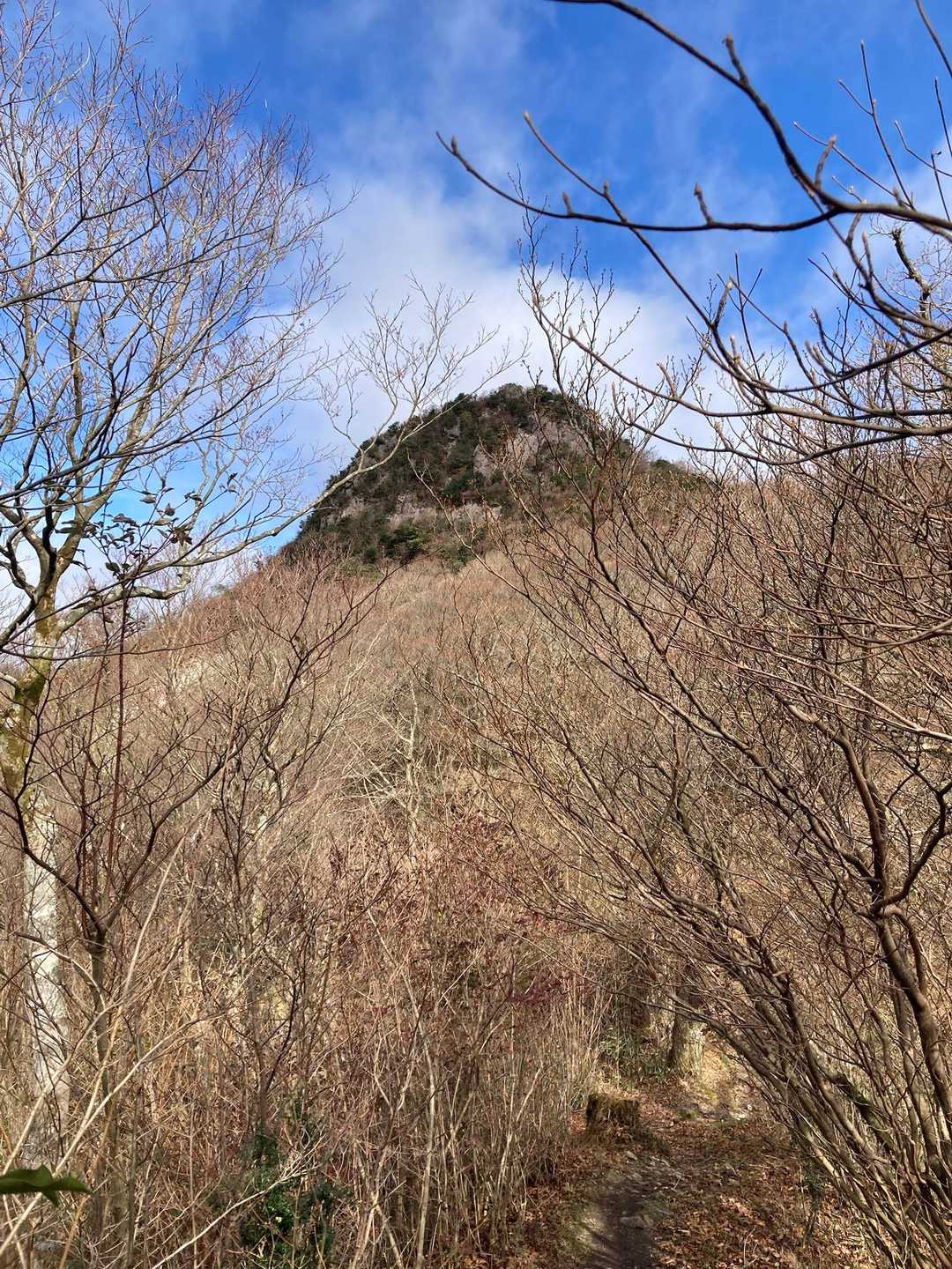 良き山でした！