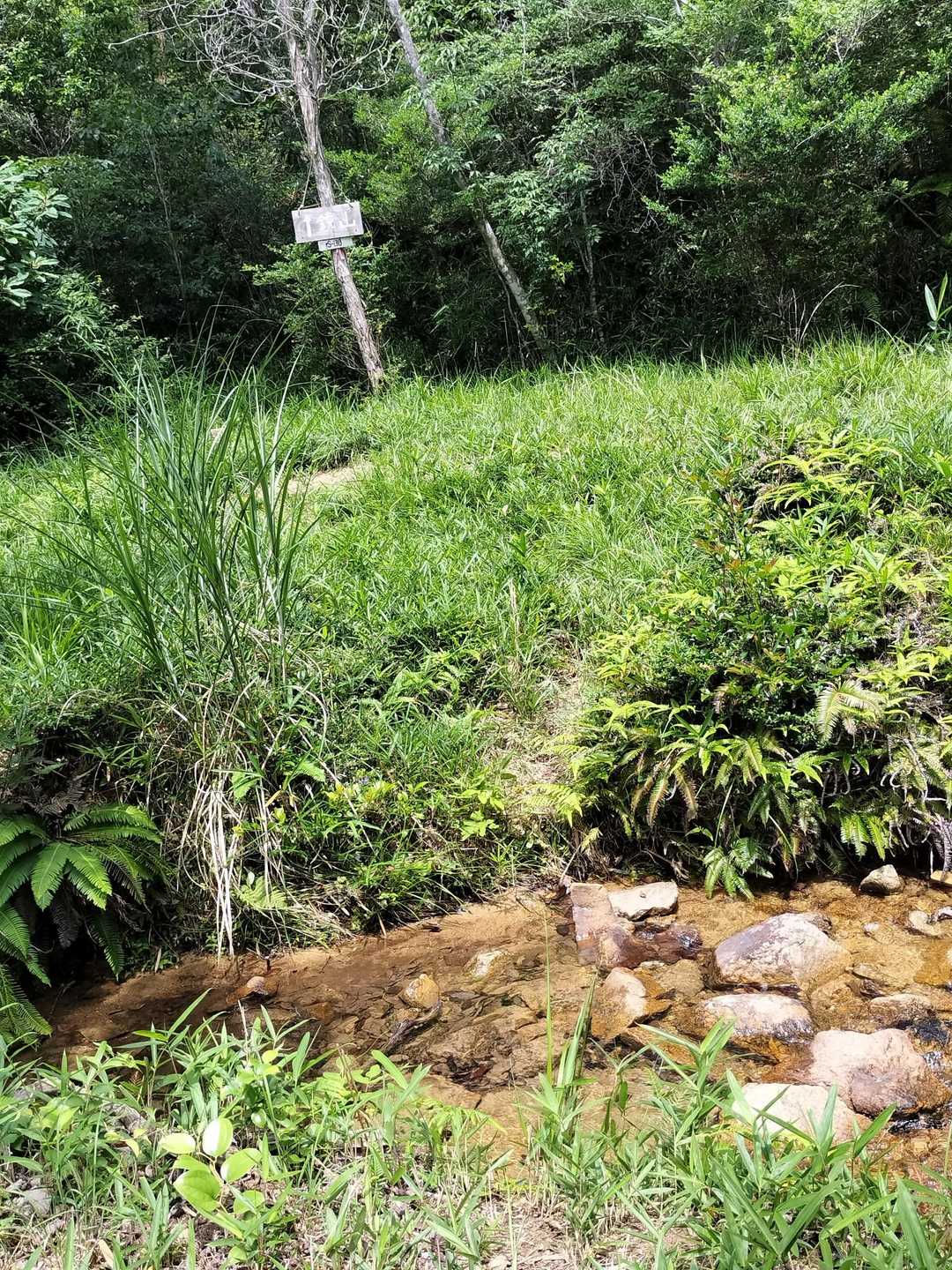 向こうの看板が、鏡山の登山口、またいつか