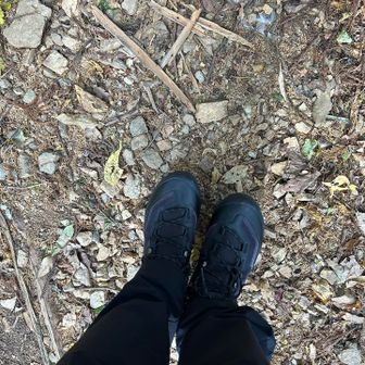 少し歩いてみたけどいい感じ