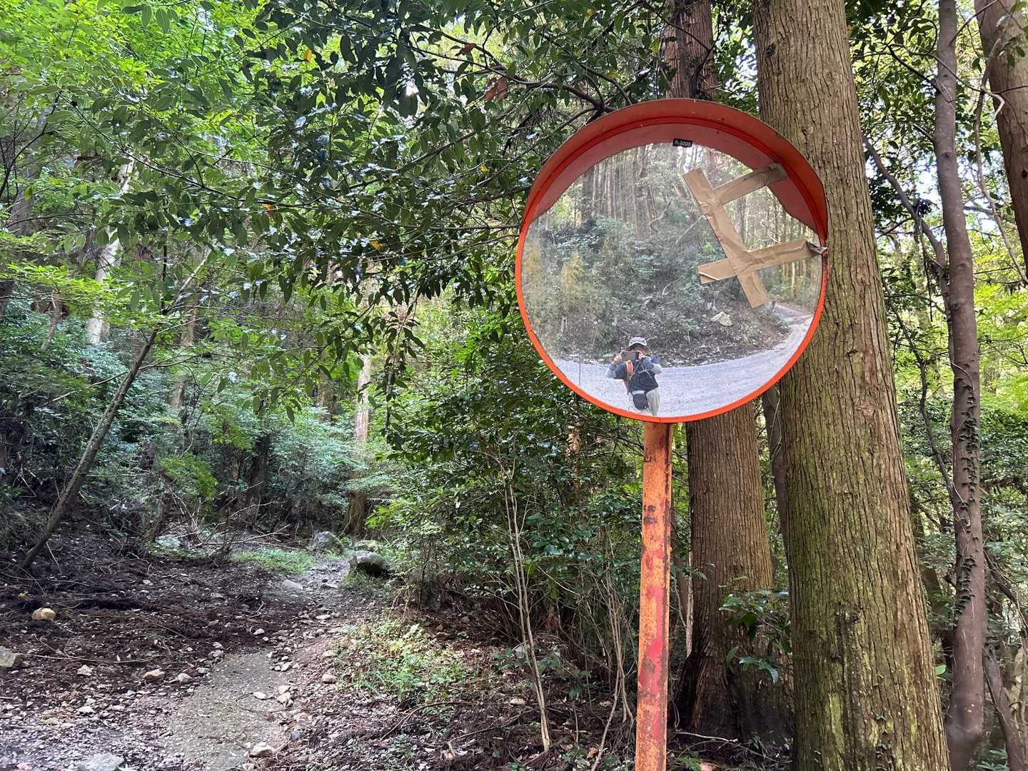 車道から、登山道のカーブミラー。