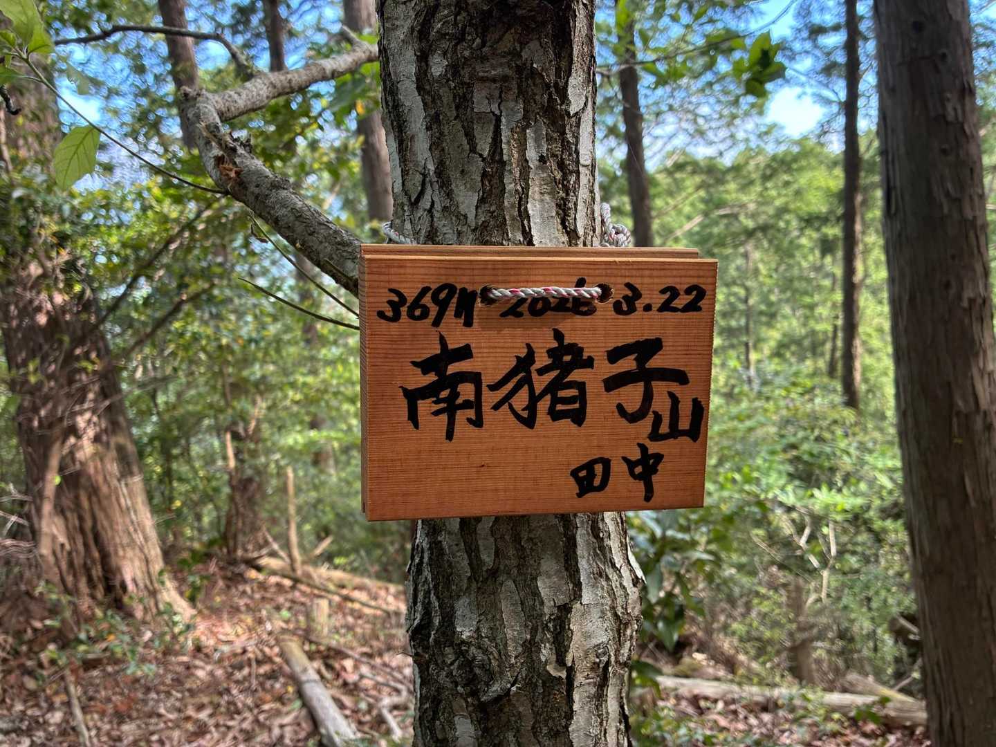 南猪子山⛰️
眺望なし