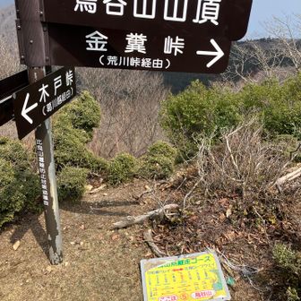 ネーミングよ…