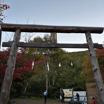 こちらからスタート▶️