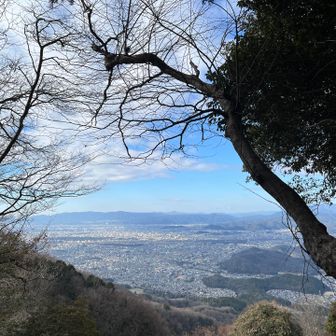 京都を見わたせます