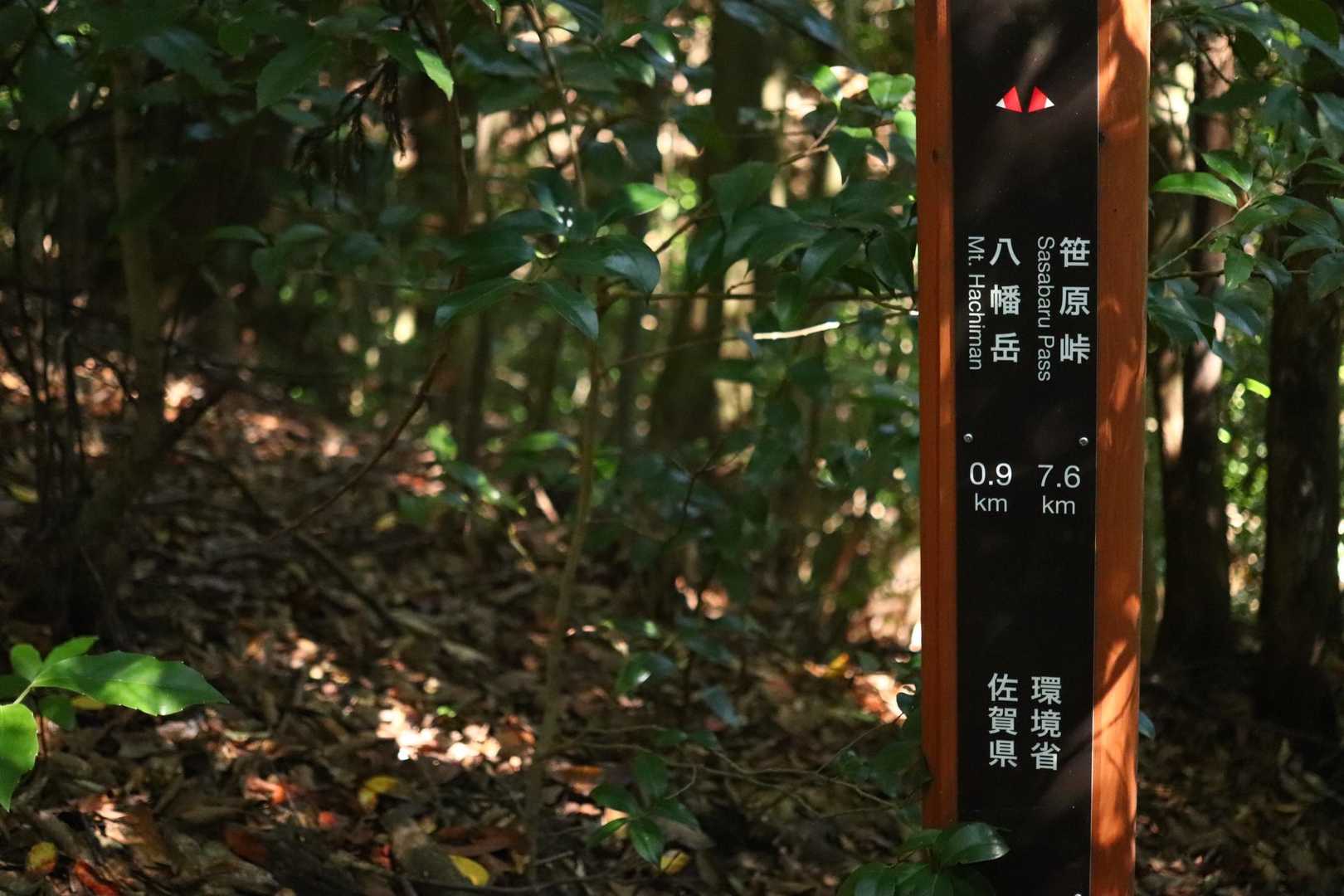 途中で財布を忘れて(サザエさん並み😅)取りに帰るロスタイムが生んだ偶然の出会い✨