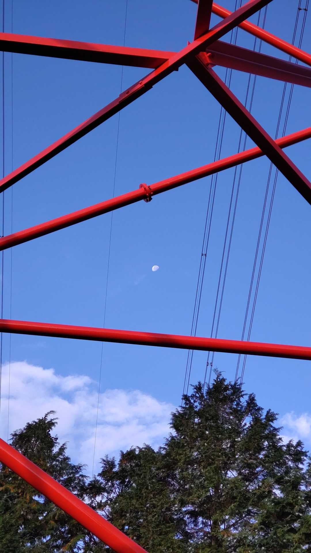 🌒