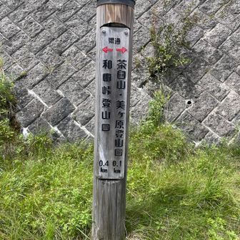 道路をちょっとだけ歩くんですよね。車注意。