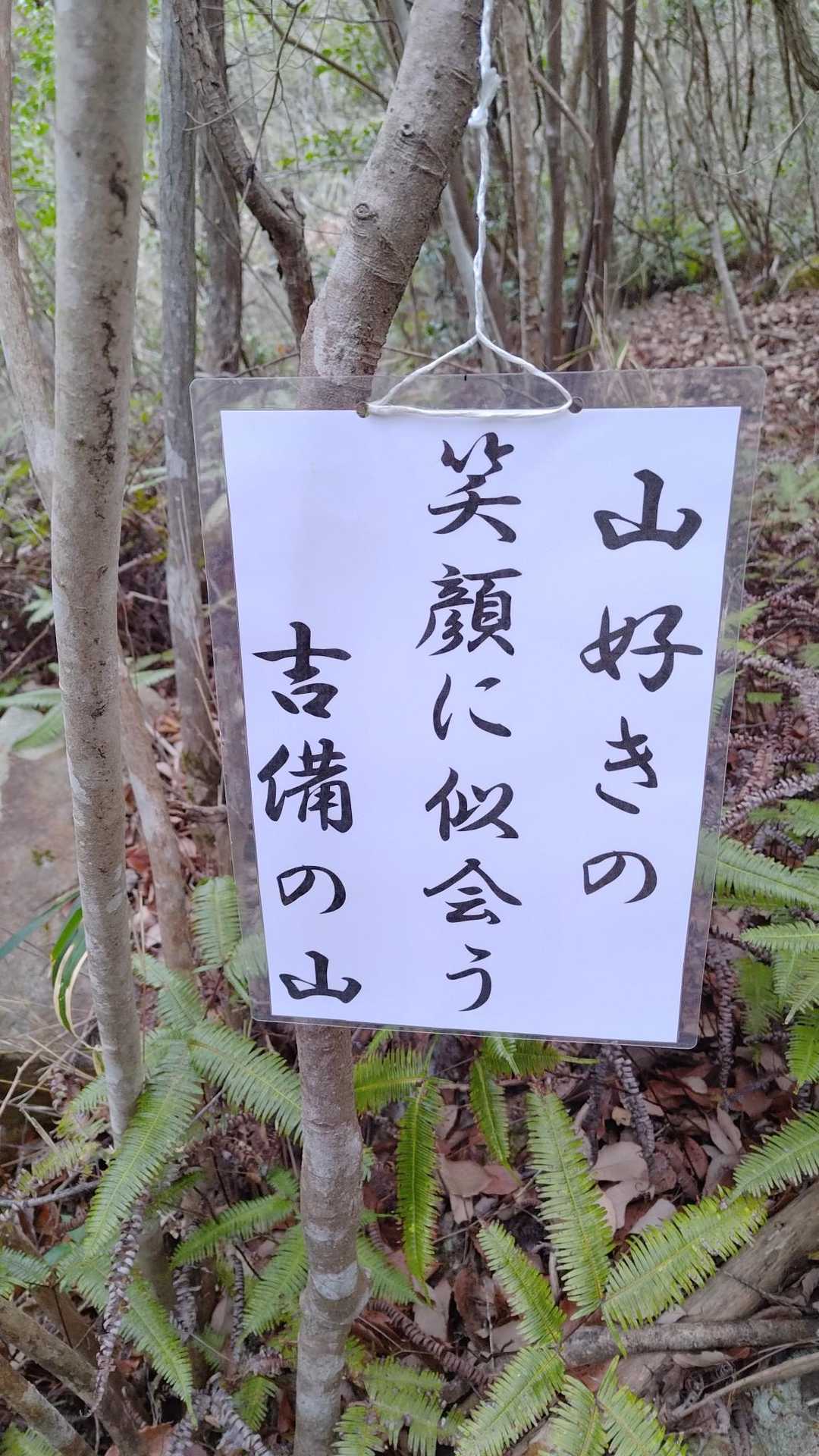 鬼ノ城の登り。
ここの登りキツイけど、複数の5・7・5があって、楽しく登れます(^o^)
1番好きだったのはこれかな。