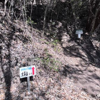 からの、また登りになるところがめちゃきつい！！