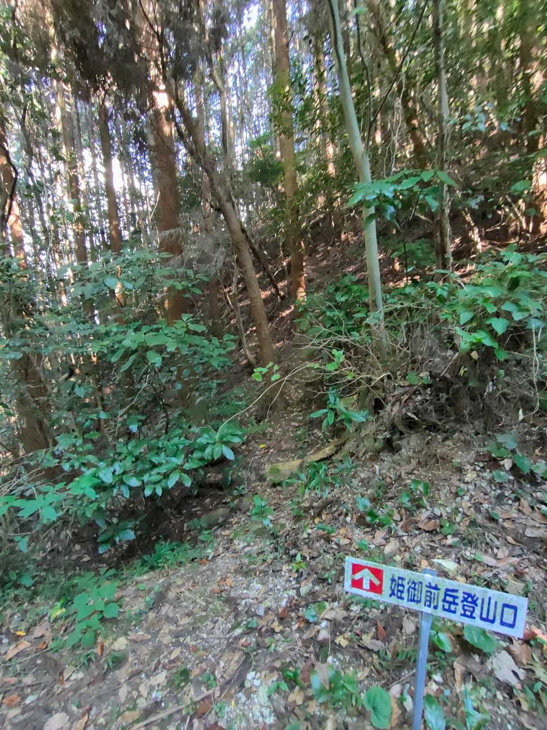 姫御前岳の取り付き😚