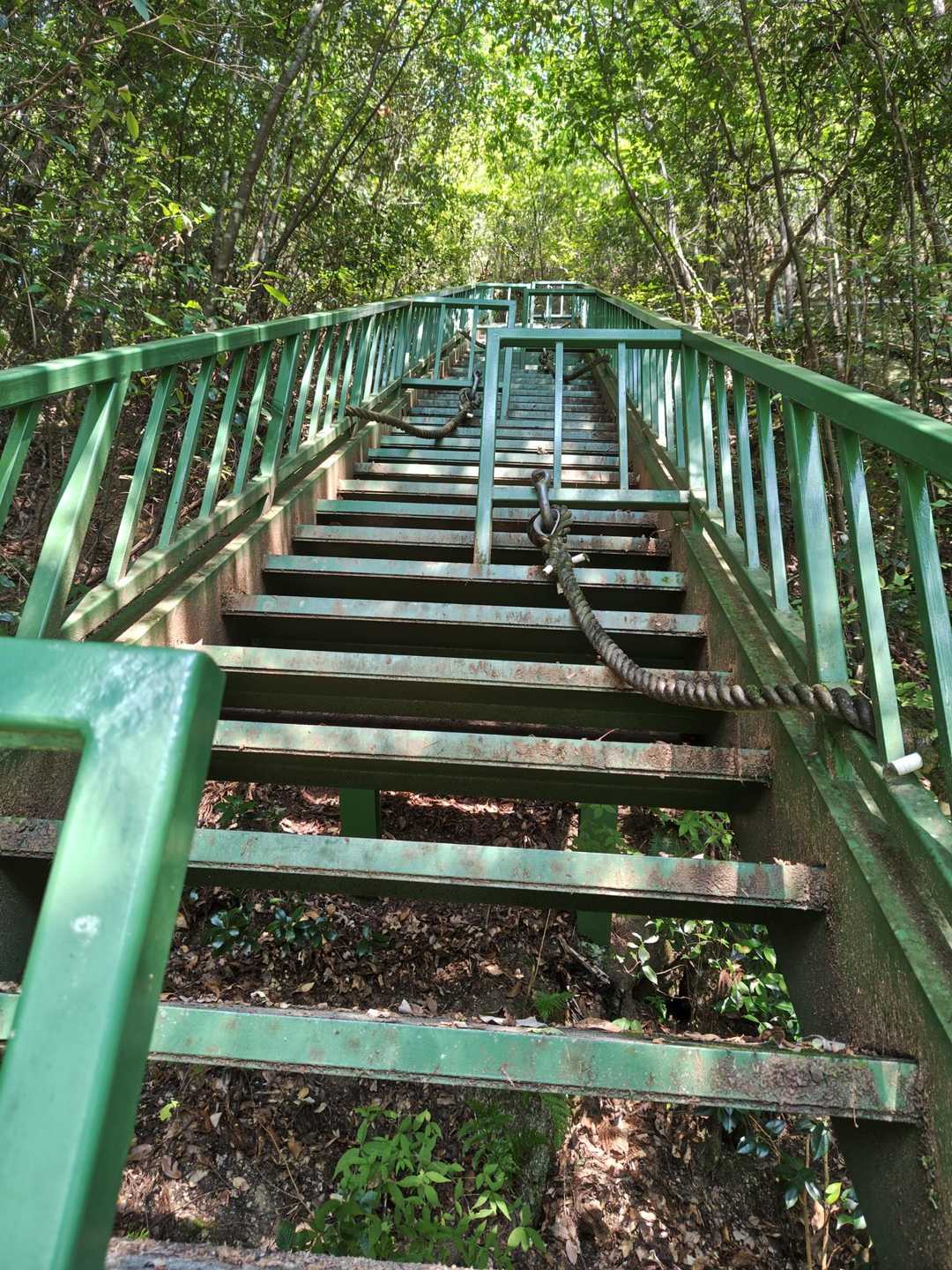 階段上り🚶