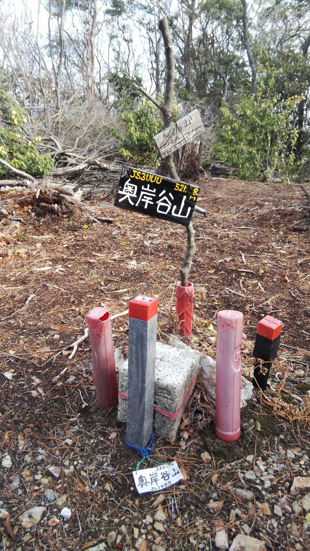 ほい本日1座目の奥岸谷山に到着！結構ゴー☆ジャスな三角点だネ(嬉)
