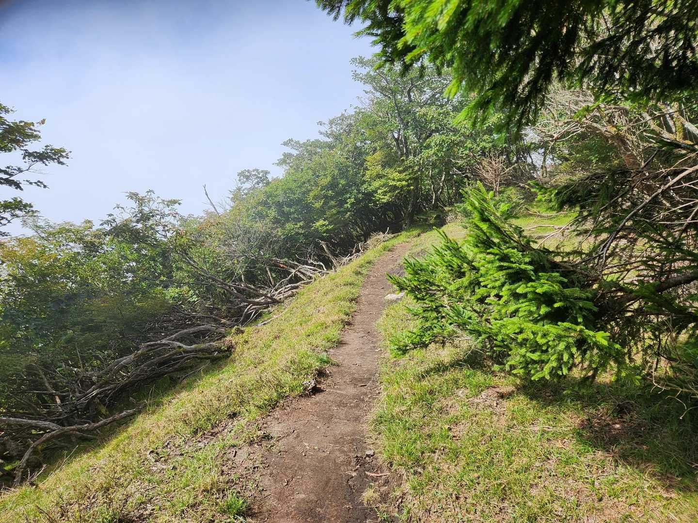 剣ヶ峰 往復コースの写真