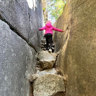 稲村神社へ
娘「ここ狭いけど何なの❓」
父「神社だよ⛩️」