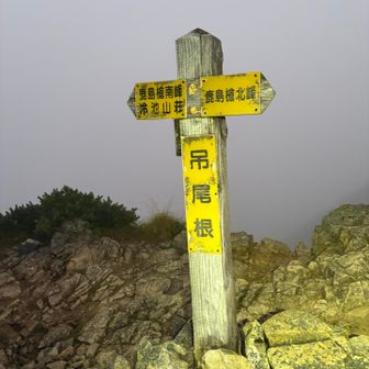 ようやく
吊尾根
分岐到着👏✨