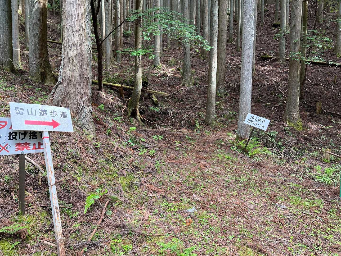 やっと登山口ー😆