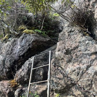 このあたりはハシゴと鎖場！