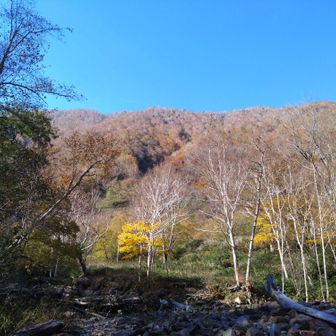 ありがとう〜

元来た沢を戻ります