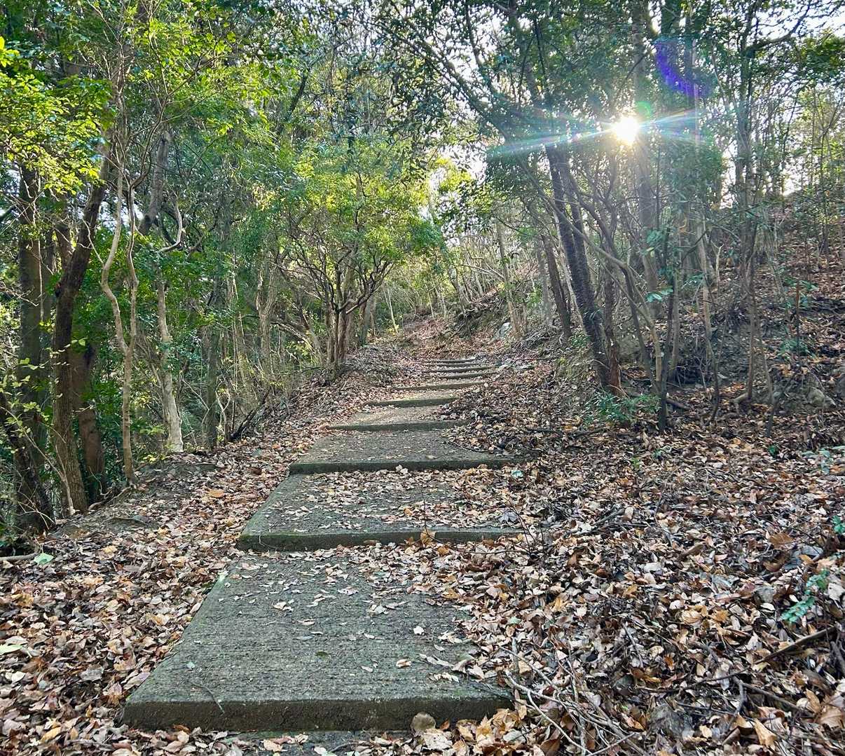 宇曽嶽神社（宇曽山）までは
キレイな舗装路((´∀｀*))ｷﾗﾘ-ﾝ