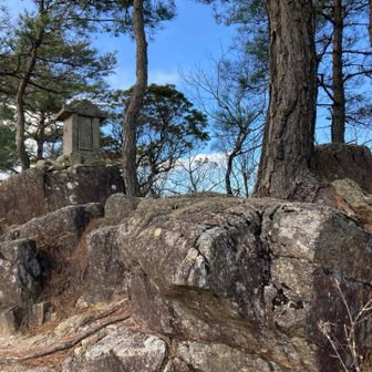 ここは、山頂では無いのですか。