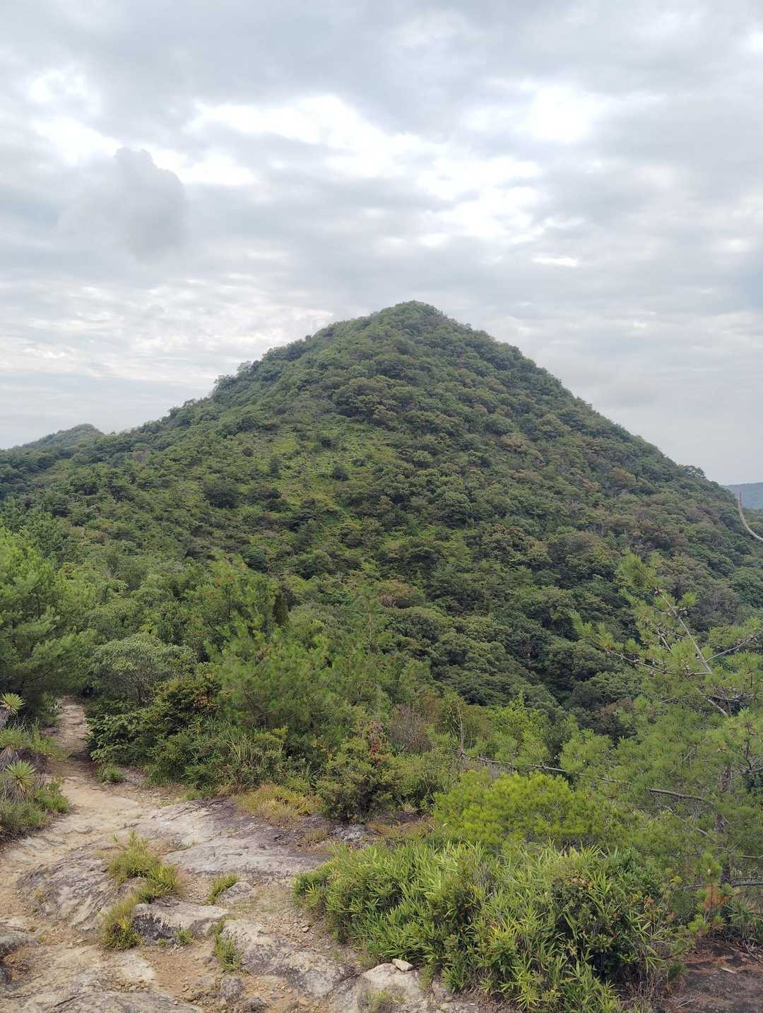 こうやって見ると、地徳山ってきれいな三角形なんだなぁ🍙