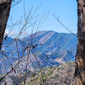 鷹取山山頂から権現山を望む