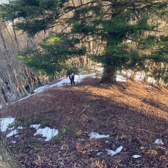 展望台への急登。