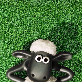 ともみ  (๑′ᴗ‵๑)♥