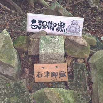 ヤマップではピークになってるけど、此処は石津御嶽山頂じゃ無いよ、どう見ても坂道の途中だよね～😅
山頂は、頂上社殿⛩️（奥ノ院）横だよ。👍