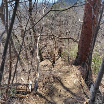 ここからはバリルート