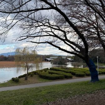 きれいなトコだわ