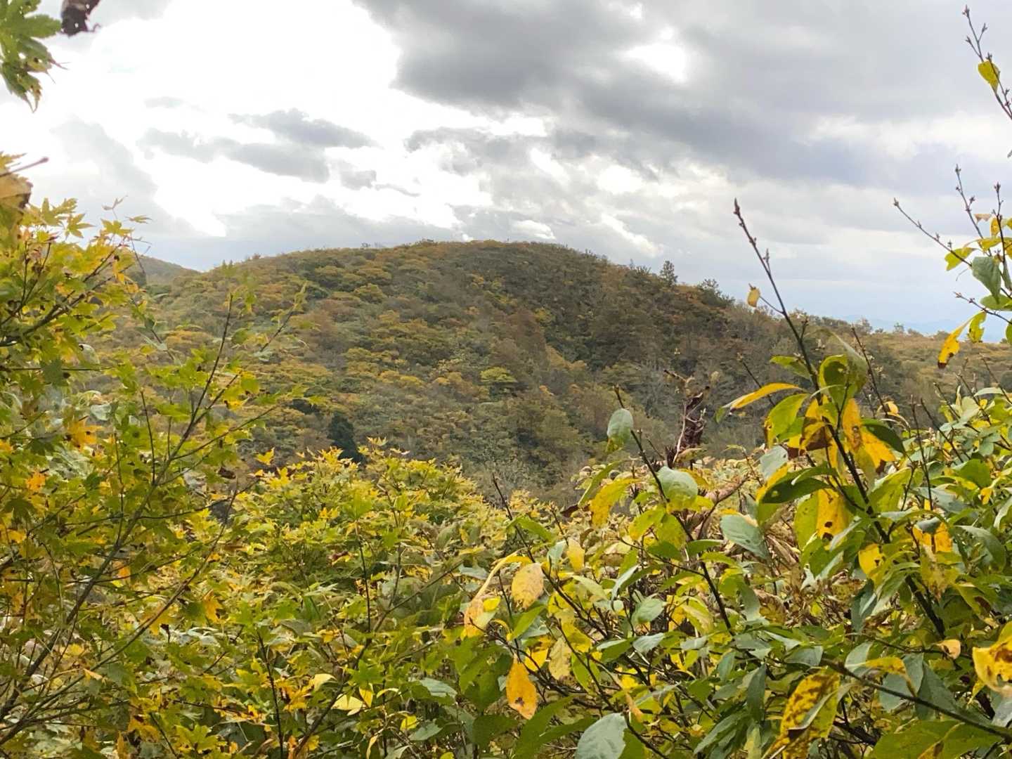 目指す御嶽山