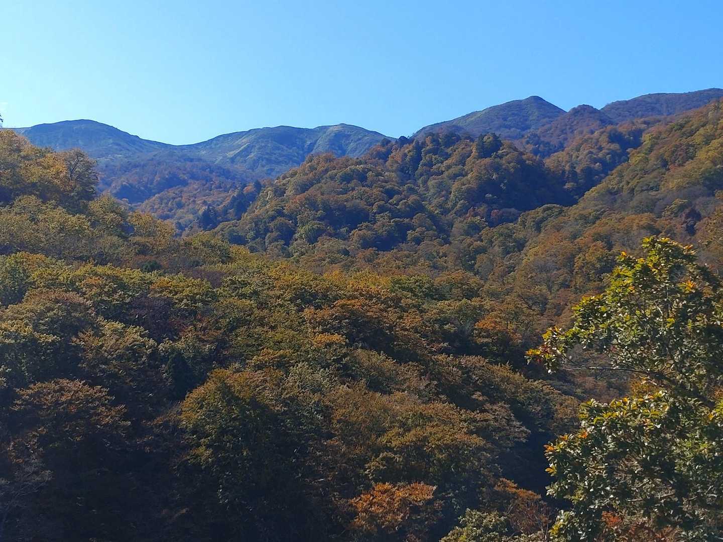 紅葉の奥に三本槍岳も見えます😀