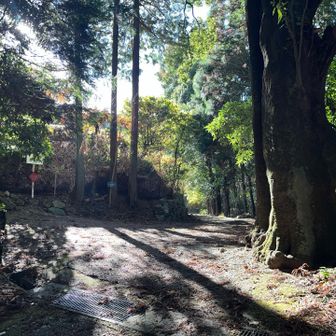 ようやくココで登山道に
階段を登っていくと