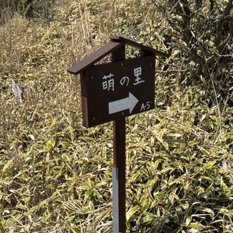 萌の里から登って来られた方もいました♪